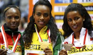 2014奥运会奖牌榜统计表